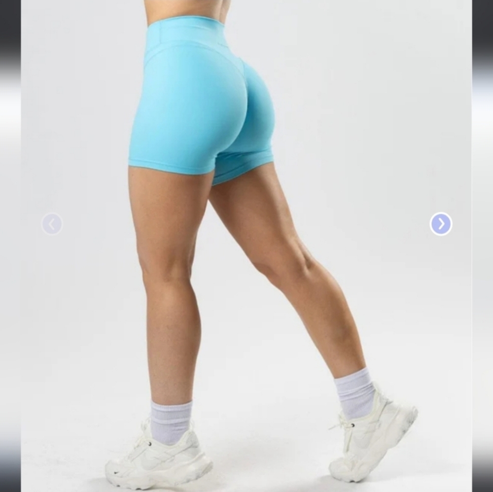 Paragon sculptseam Plus Shorts